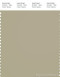 PANTONE SMART 15-0513X Color Swatch Card, Eucalyptus