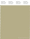 PANTONE SMART 15-0522X Color Swatch Card, Pale Olive Green
