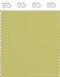PANTONE SMART 15-0533X Color Swatch Card, Linden Green
