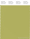 PANTONE SMART 15-0535X Color Swatch Card, Palm