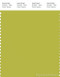 PANTONE SMART 15-0543X Color Swatch Card, Apple Green
