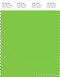 PANTONE SMART 15-0545X Color Swatch Card, Jasmine Green