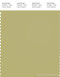 PANTONE SMART 15-0628X Color Swatch Card, Leek Green