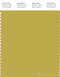 PANTONE SMART 15-0643X Color Swatch Card, Cress Green