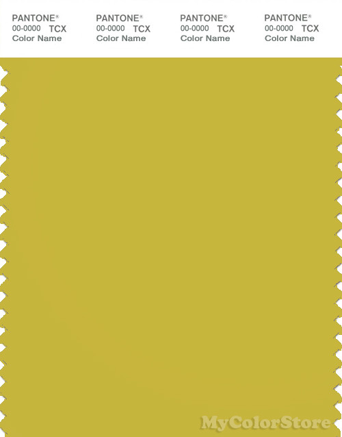 PANTONE SMART 15-0646X Color Swatch Card, Warm Olive