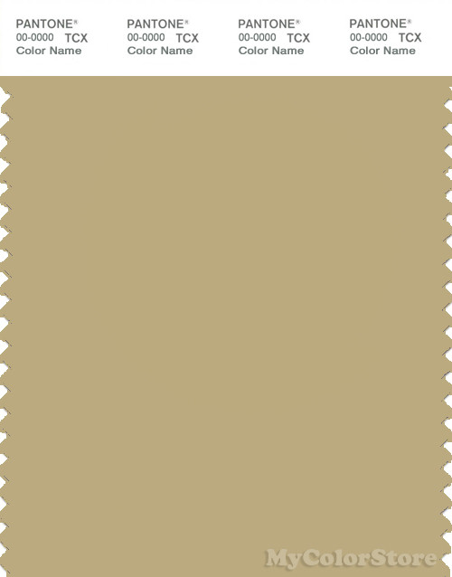 PANTONE SMART 15-0719X Color Swatch Card, Silver Fern