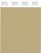 PANTONE SMART 15-0719X Color Swatch Card, Silver Fern