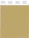 PANTONE SMART 15-0730X Color Swatch Card, Southern Moss