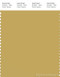 PANTONE SMART 15-0732X Color Swatch Card, Pale Green-yellow