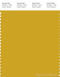 PANTONE SMART 15-0751X Color Swatch Card, Chartreuse