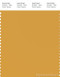 PANTONE SMART 15-1046X Color Swatch Card, Mineral Yellow