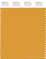 PANTONE SMART 15-1050X Color Swatch Card, Golden Glow