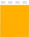 PANTONE SMART 15-1062X Color Swatch Card, Gold Fusion