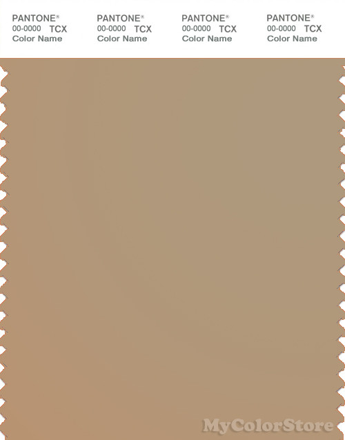 PANTONE SMART 15-1114X Color Swatch Card, Travertine
