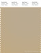 PANTONE SMART 15-1116X Color Swatch Card, Sarari