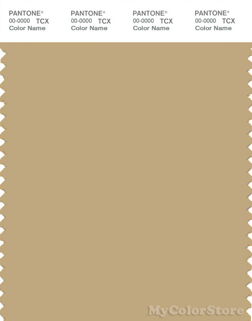 PANTONE SMART 15-1119X Color Swatch Card, Drab Gray