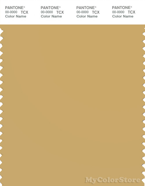 PANTONE SMART 15-1132X Color Swatch Card, Fall Leaf