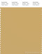 PANTONE SMART 15-1132X Color Swatch Card, Fall Leaf