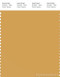 PANTONE SMART 15-1142X Color Swatch Card, Honey Gold