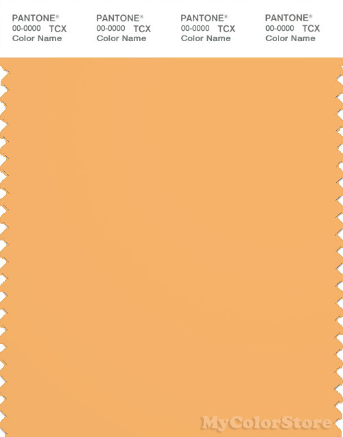 PANTONE SMART 15-1145X Color Swatch Card, Chamois