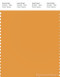 PANTONE SMART 15-1147X Color Swatch Card, Butterscotch