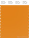 PANTONE SMART 15-1150X Color Swatch Card, Cheddar Cheese