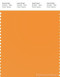 PANTONE SMART 15-1153X Color Swatch Card, Apricot