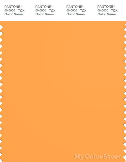 PANTONE SMART 15-1160X Color Swatch Card, Blazing Orange