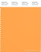 PANTONE SMART 15-1160X Color Swatch Card, Blazing Orange
