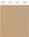 PANTONE SMART 15-1213X Color Swatch Card, Candied Ginger