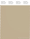 PANTONE SMART 15-1216X Color Swatch Card, Pale Khaki