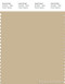 PANTONE SMART 15-1217X Color Swatch Card, Mojave Desert