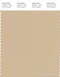 PANTONE SMART 15-1218X Color Swatch Card, Semolina