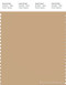 PANTONE SMART 15-1220X Color Swatch Card, Latte