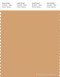 PANTONE SMART 15-1231X Color Swatch Card, Clay