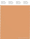 PANTONE SMART 15-1234X Color Swatch Card, Gold Earth