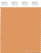 PANTONE SMART 15-1237X Color Swatch Card, Apricot Tan