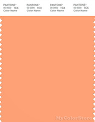 PANTONE SMART 15-1239X Color Swatch Card, Canteloupe