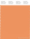 PANTONE SMART 15-1242X Color Swatch Card, Muskmelon