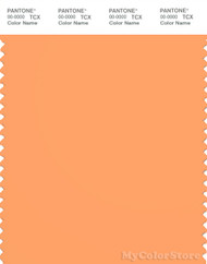 PANTONE SMART 15-1245X Color Swatch Card, Mock Orange