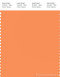 PANTONE SMART 15-1247X Color Swatch Card, Tangerine