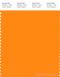 PANTONE SMART 15-1263X Color Swatch Card, Autumn Glory