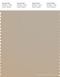 PANTONE SMART 15-1305X Color Swatch Card, Feather Gray