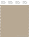 PANTONE SMART 15-1307X Color Swatch Card, White Pepper