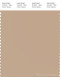 PANTONE SMART 15-1314X Color Swatch Card, Cuban Sand