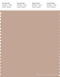 PANTONE SMART 15-1315X Color Swatch Card, Rugby Tan