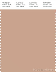 PANTONE SMART 15-1316X Color Swatch Card, Maple Sugar
