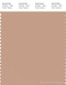PANTONE SMART 15-1317X Color Swatch Card, Sirocco