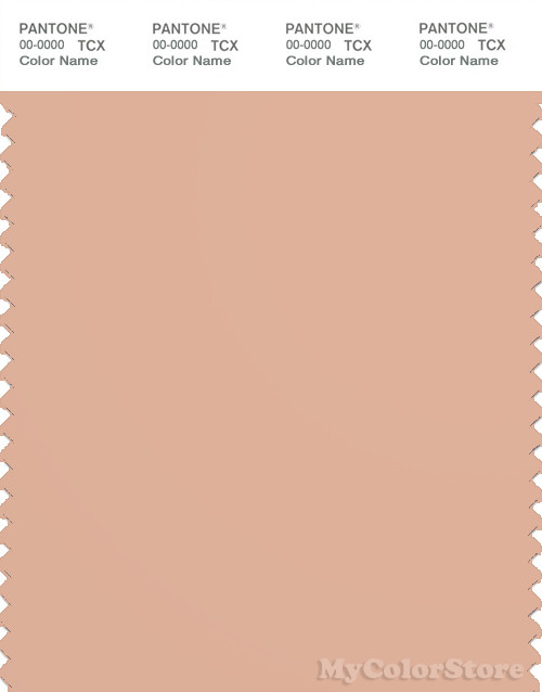 PANTONE SMART 15-1318X Color Swatch Card, 2pink Sand