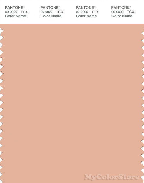 PANTONE SMART 15-1319X Color Swatch Card, Almost Apricot